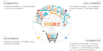 怎么定制開(kāi)發(fā)電商商城app系統(tǒng)