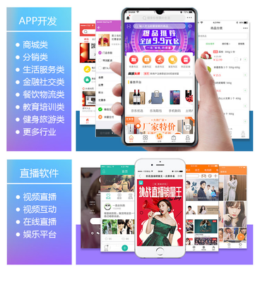 軟件開發量身定制