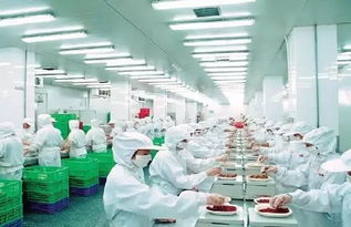 供給側(cè)改革 餐飲業(yè)轉(zhuǎn)型升級的新機遇